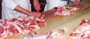 poultry conveyor belt