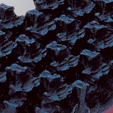 Black rubber coating