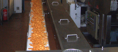 conveyor belt for biscuit factory