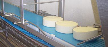 conveyor belt cheese industry