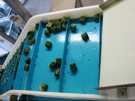 conveyor belt for vegetables